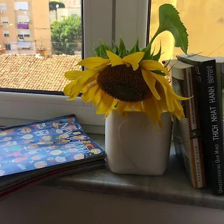 ✦ The Muse Ii Appartement