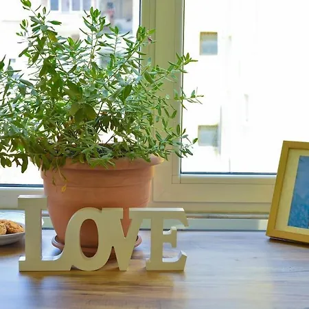 ✦ The Muse Ii 地拉那